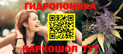 хмурый Ликино-Дулёво