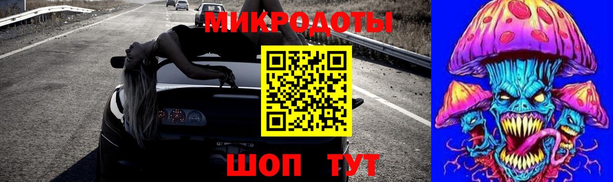 Кингисепп  Псилоцибиновые грибы GOLDEN TEACHER  где купить наркоту  Вход с VPN 