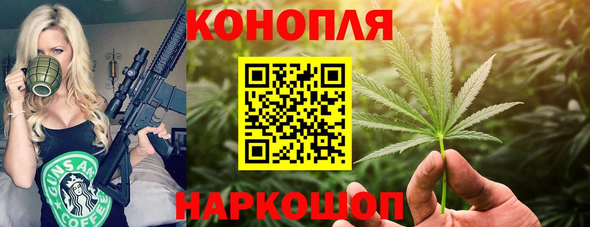 Марихуана OG Kush Кингисепп